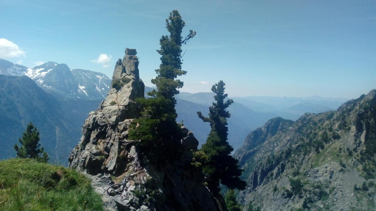 Gite Au Printemps Japonais, Petit Train De La Mure, Parc Des Ecrins Pierre-Chatel Exterior foto