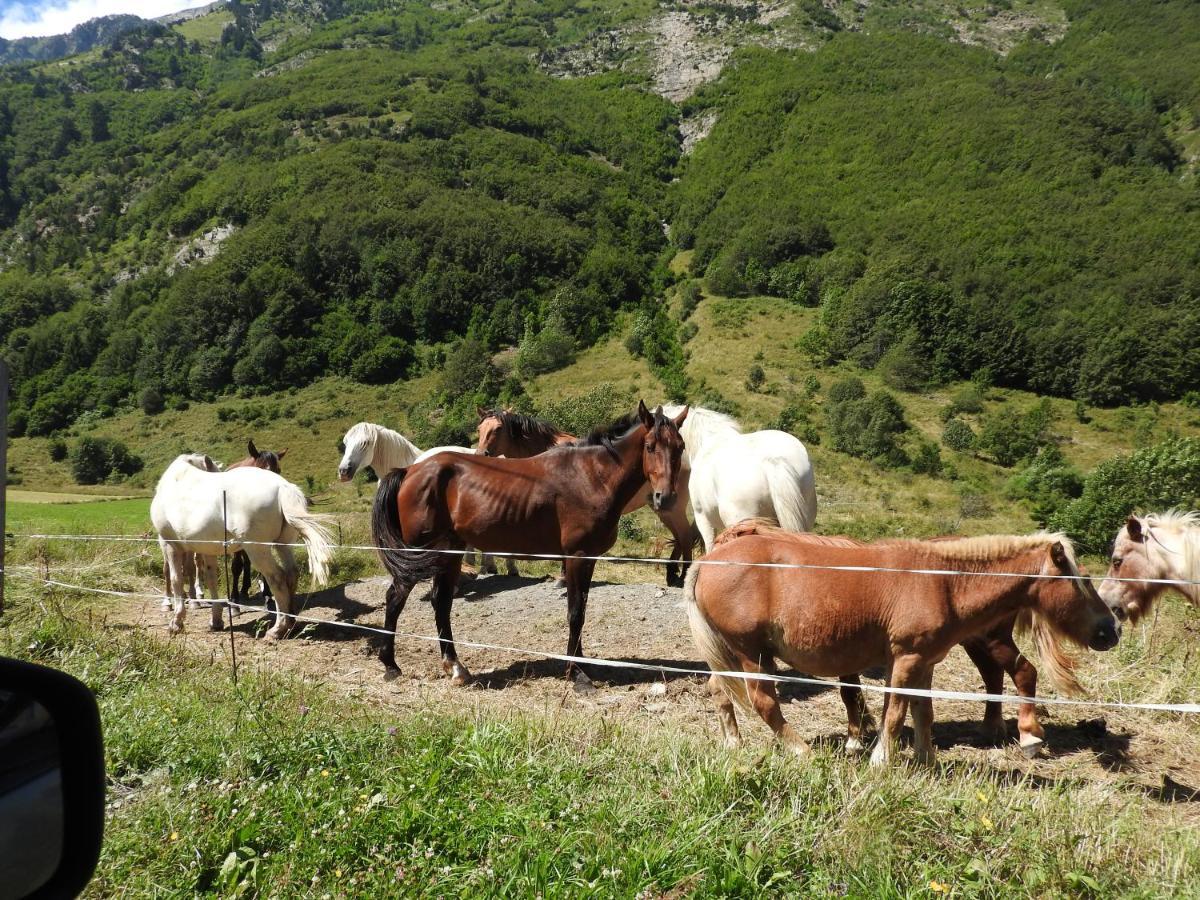 Gite Au Printemps Japonais, Petit Train De La Mure, Parc Des Ecrins Pierre-Chatel Exterior foto